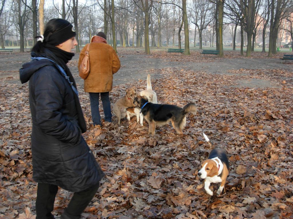 Adriana, Clementina, Lapo e Max con Iole, Aladar e Nike